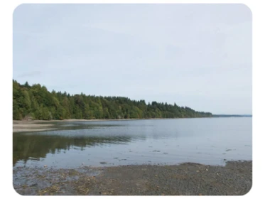 Harstine Island