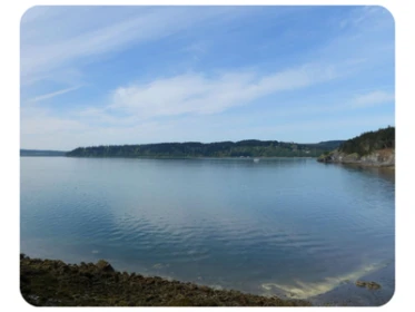 Hope Island Skagit