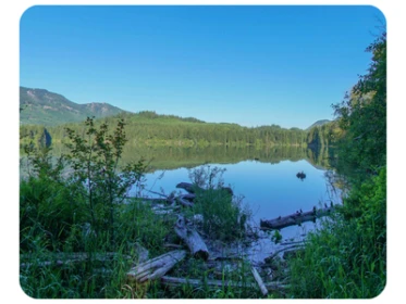 Lake Easton