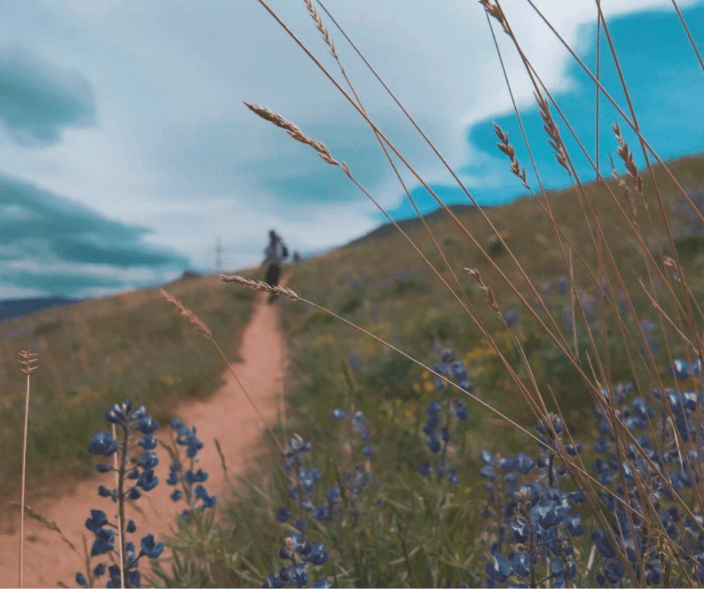 Lupine hike(1)