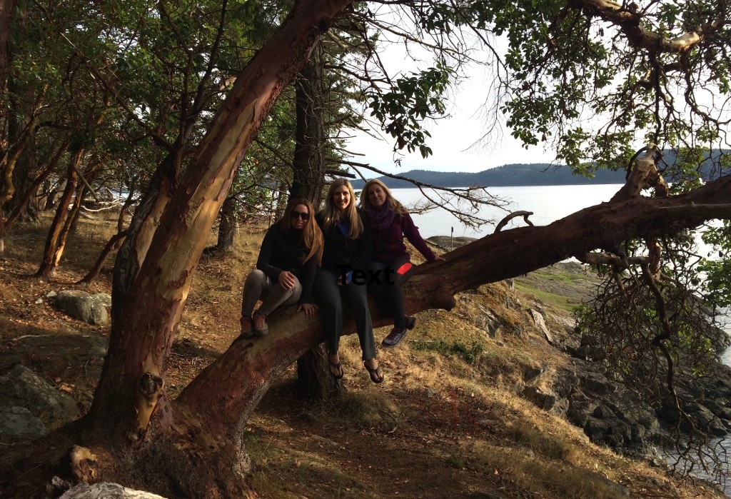 Angela and friends in a tree