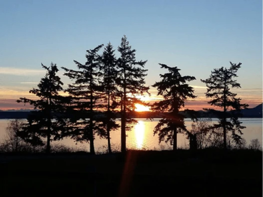 Bay View Thumbnail (1)