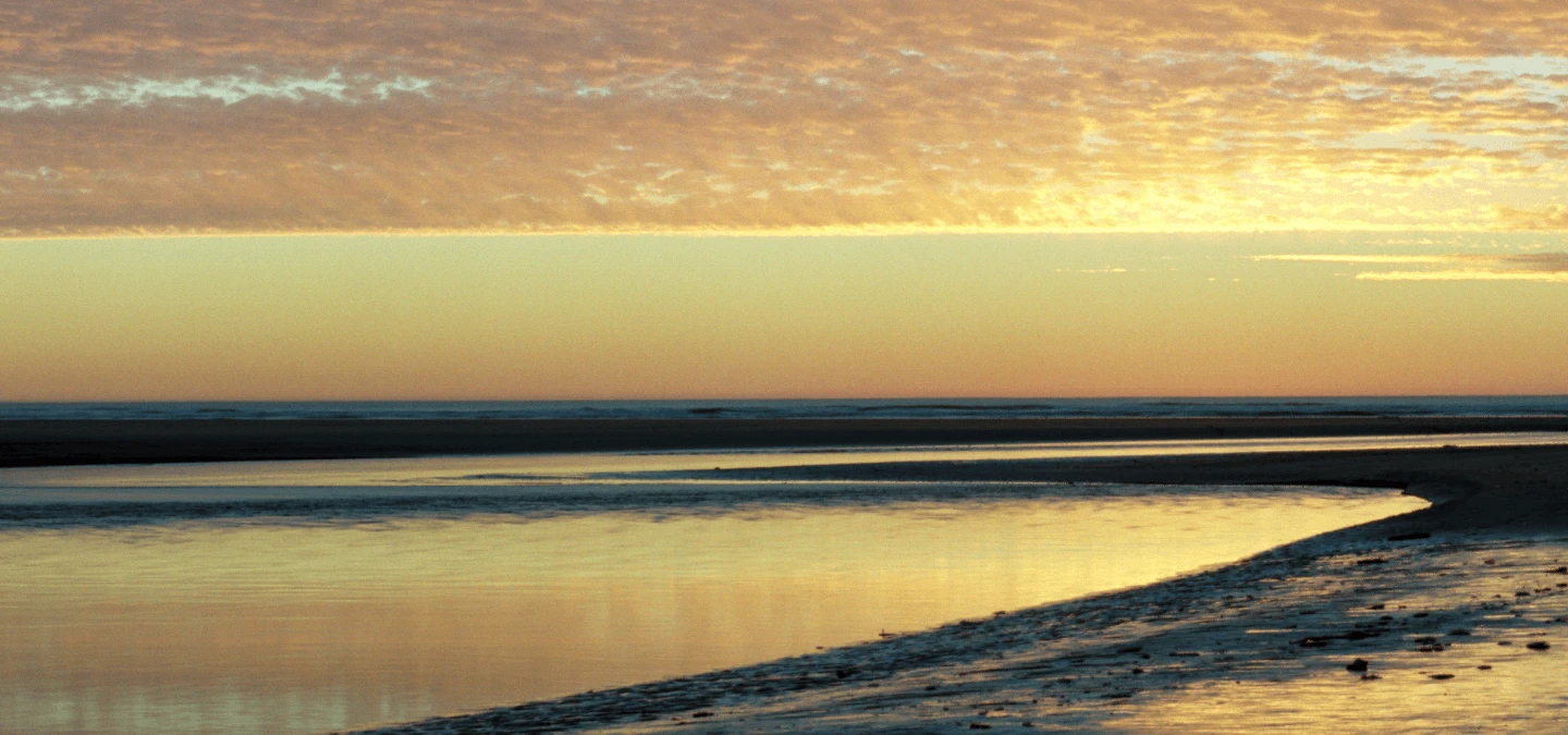 Pacific Beach Banner