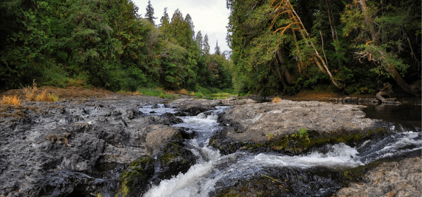 Rainbow Falls Banner