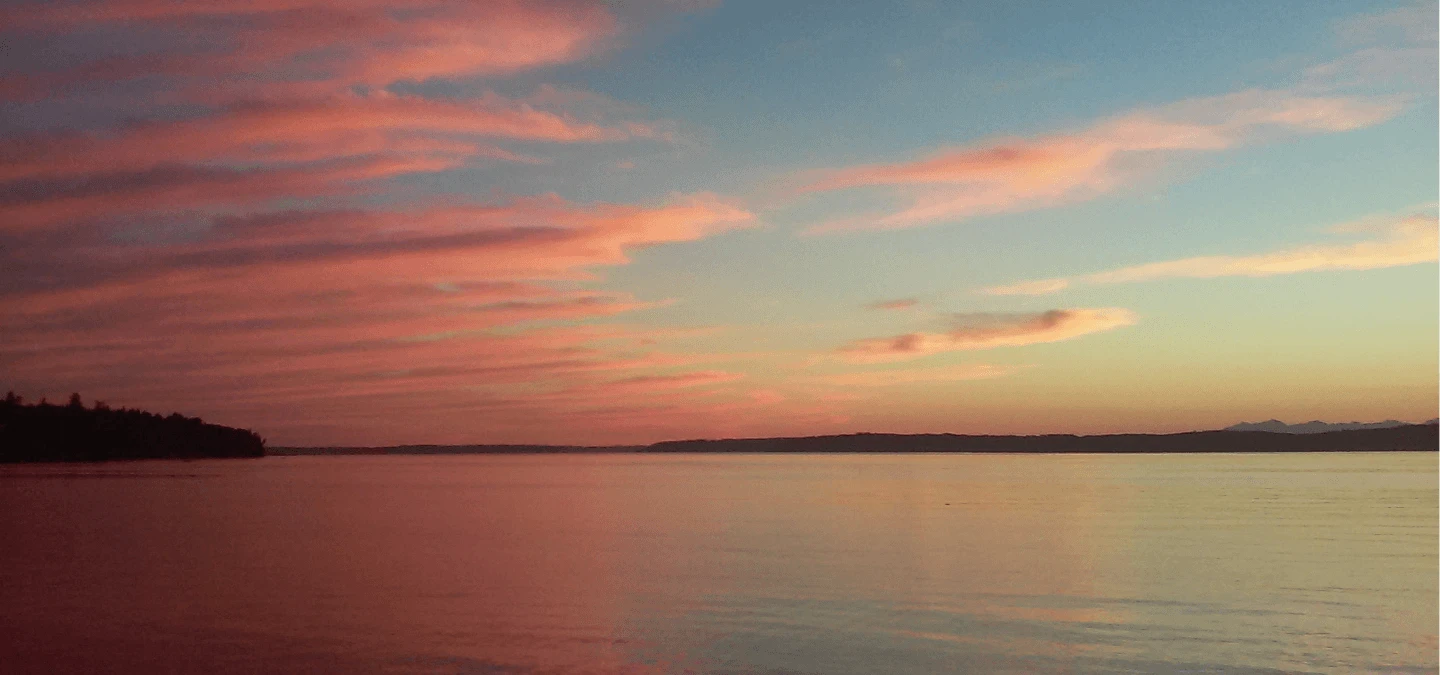 Saltwater Banner