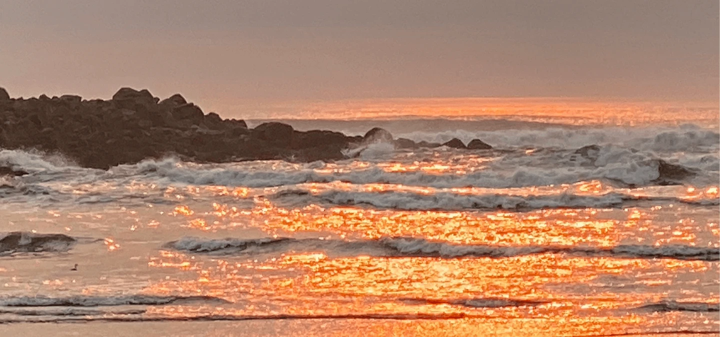 Scenic Beach Banner
