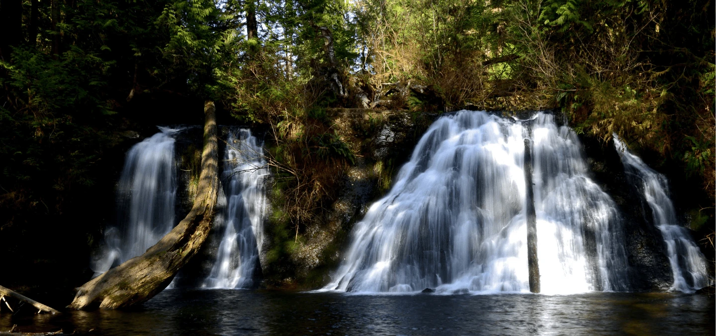 Wallace Falls Banner