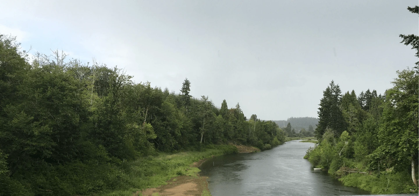 Willapa Hills Banner
