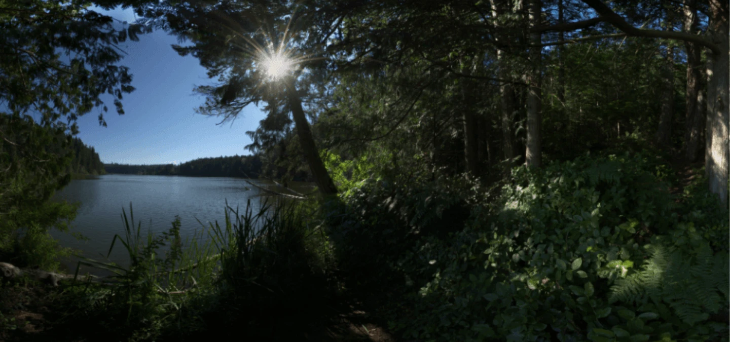 Anderson Lake Banner