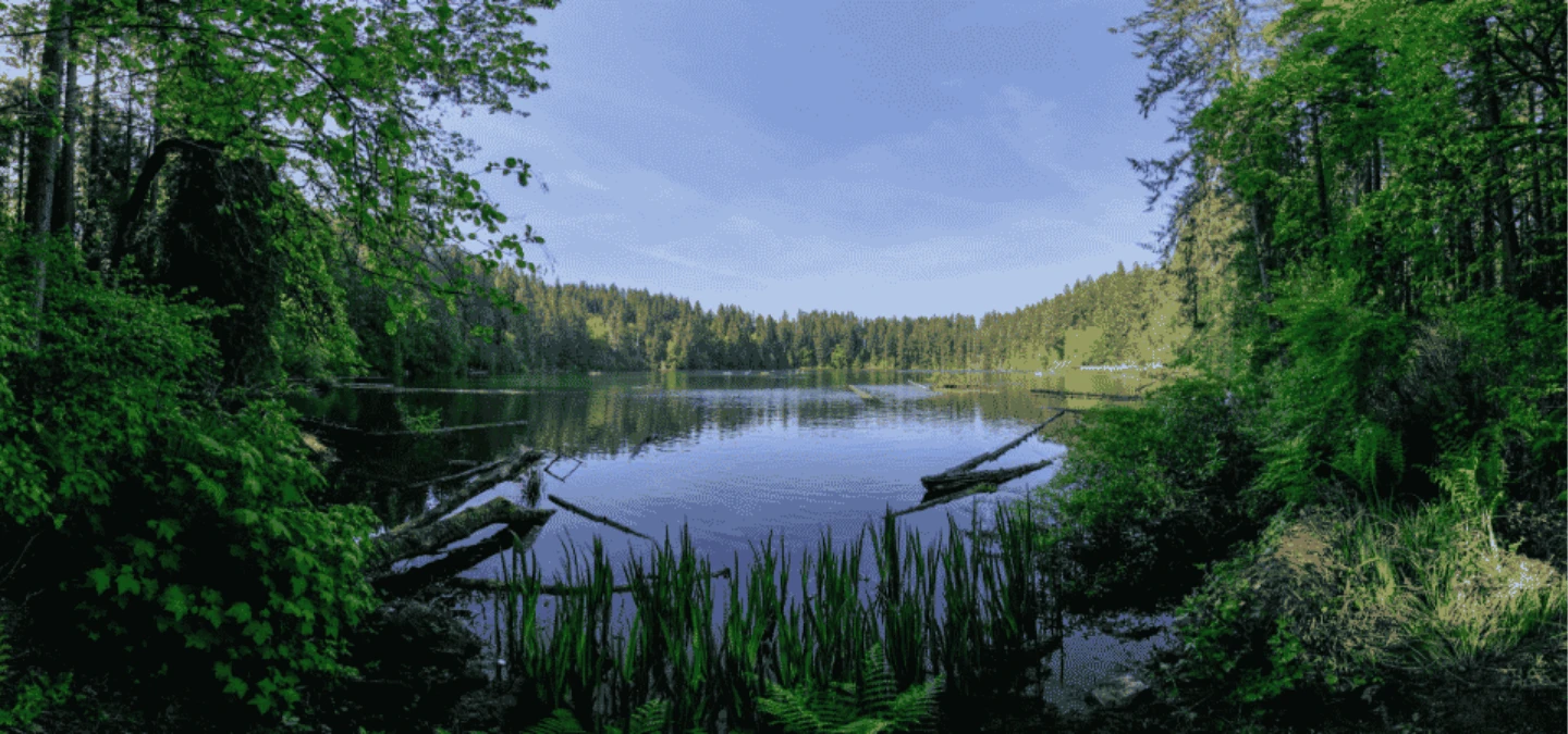 Battleground Lake Banner