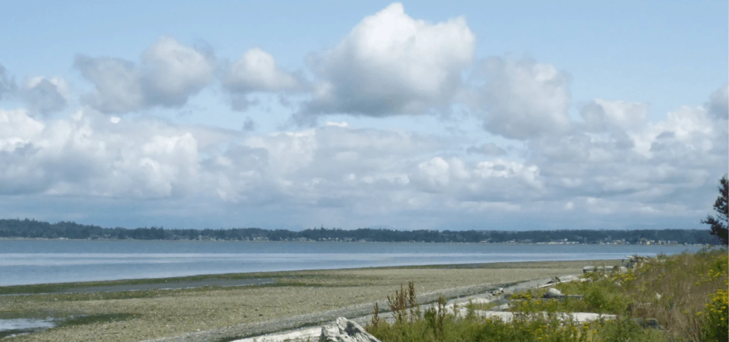 Birch Bay Banner
