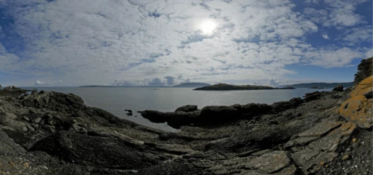 Clark Island Banner