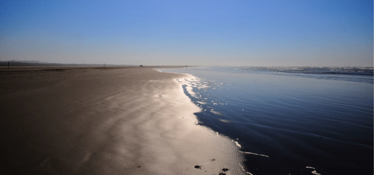 Grayland Beach Banner