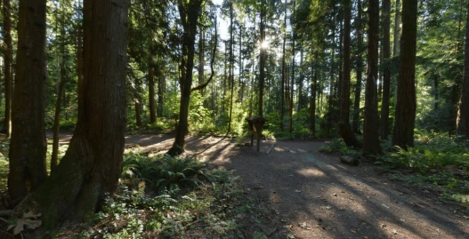 Bridle Trails 2 (1)