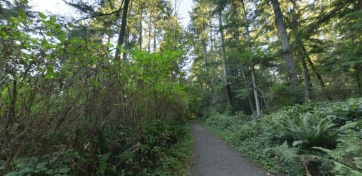 Bridle Trails 5 (1)