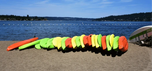 Lake Sammamish Banner
