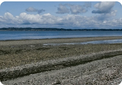 Birch Bay