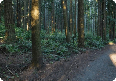 Bridle Trails