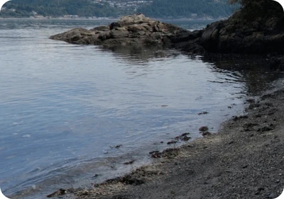 Burrows Island