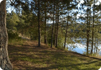Curlew Lake