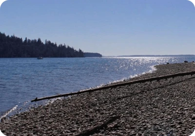 Cutts Island