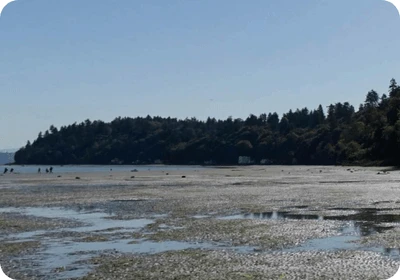 Dash Point