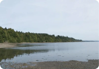 Harstine Island
