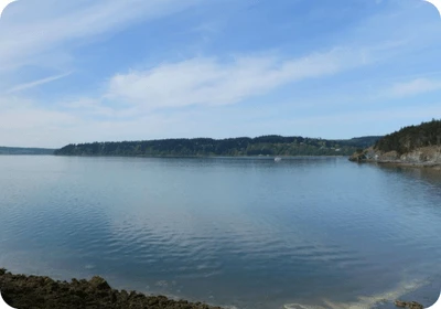 Hope Island Skagit