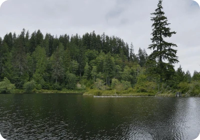 Lake Sylvia