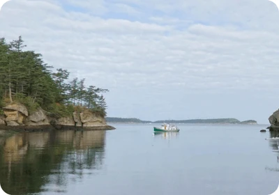 Matia Island