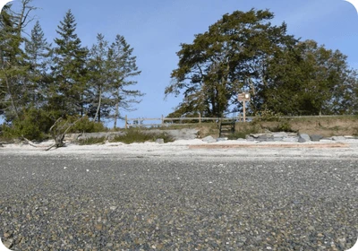McMicken Island
