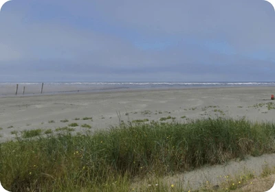 Pacific Beach