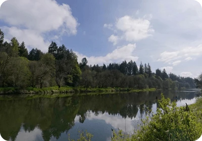 Paradise Point