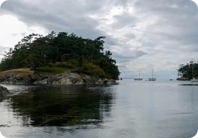 Patos Island