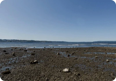 Saltwater