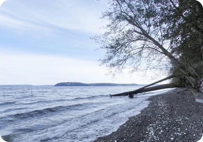 Scenic Beach