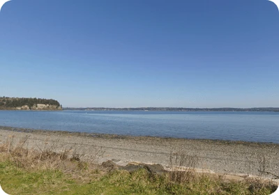 Shine Tidelands