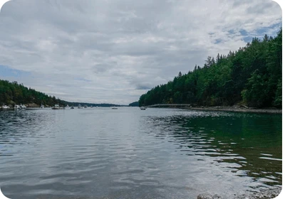 Stuart Island