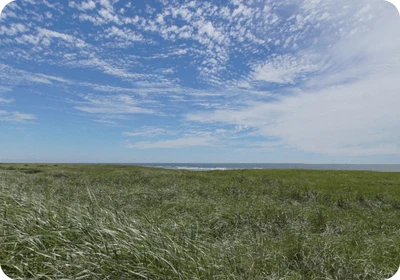 Twin Harbors