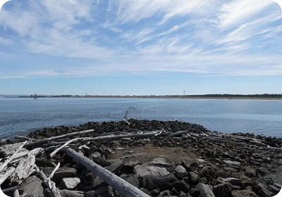 Westport Light