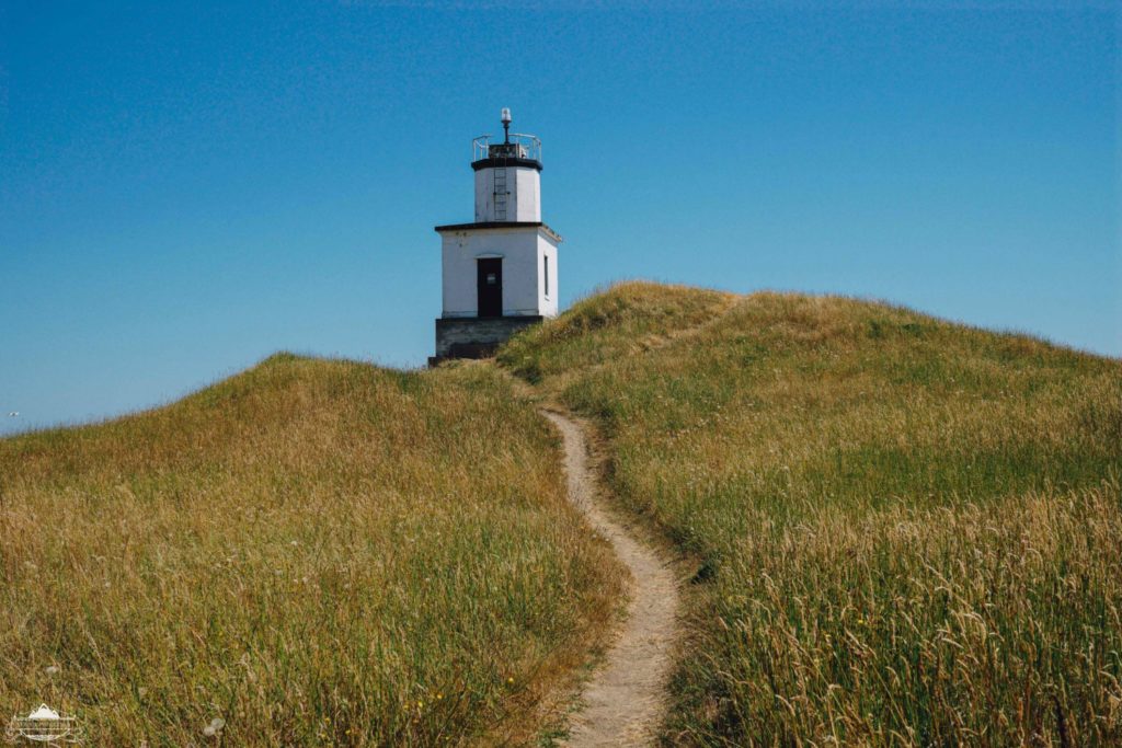Cattle point