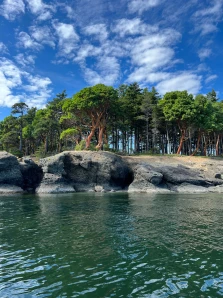 WSPF Staff