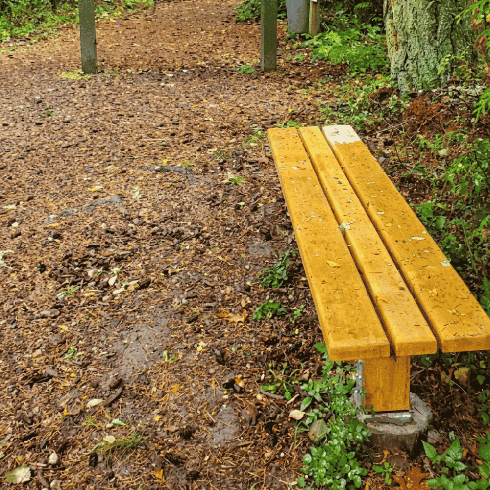 Fort Flagler Bench Replacements 2