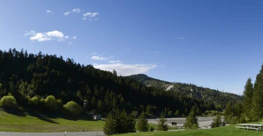 Jonathan Nelson