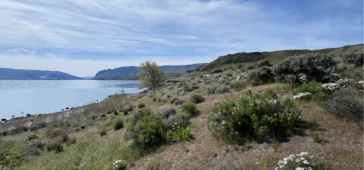 Wanapum Rec Area Banner